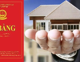 Lập vi bằng